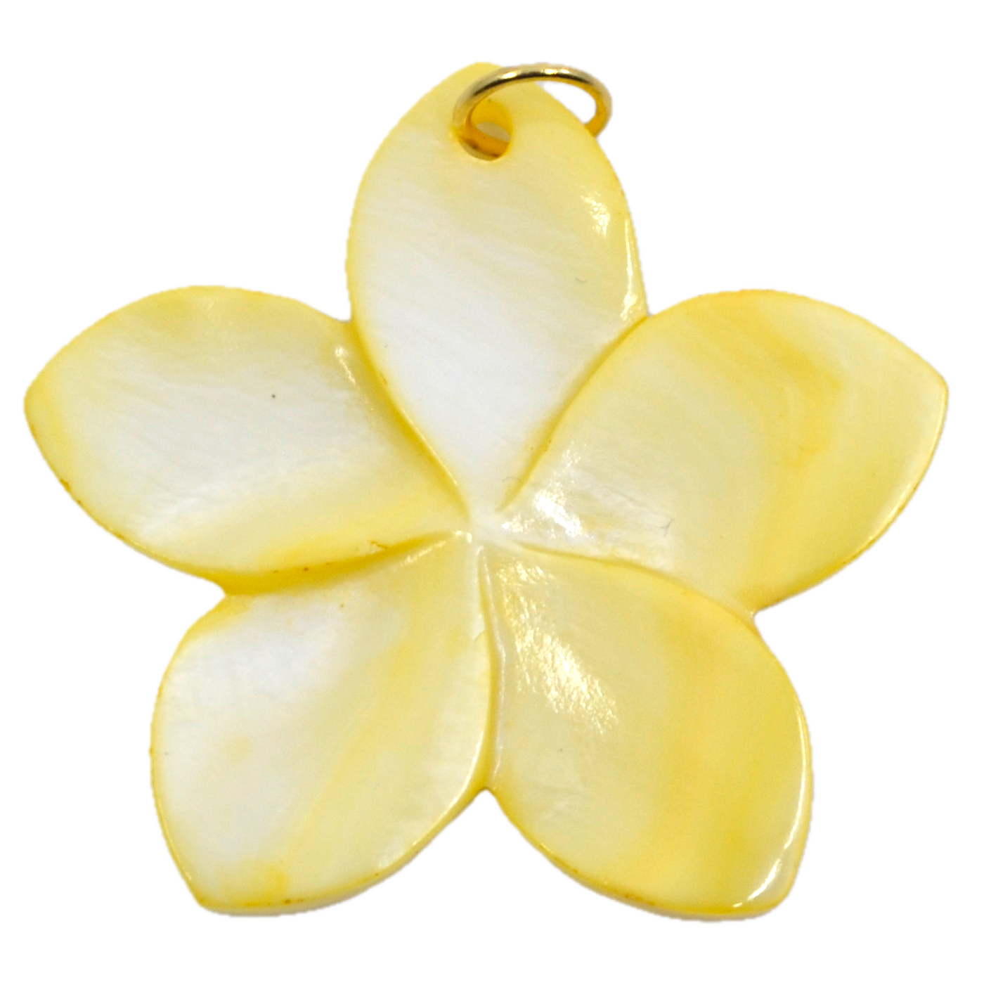 Bert Bedel Bloom Geel