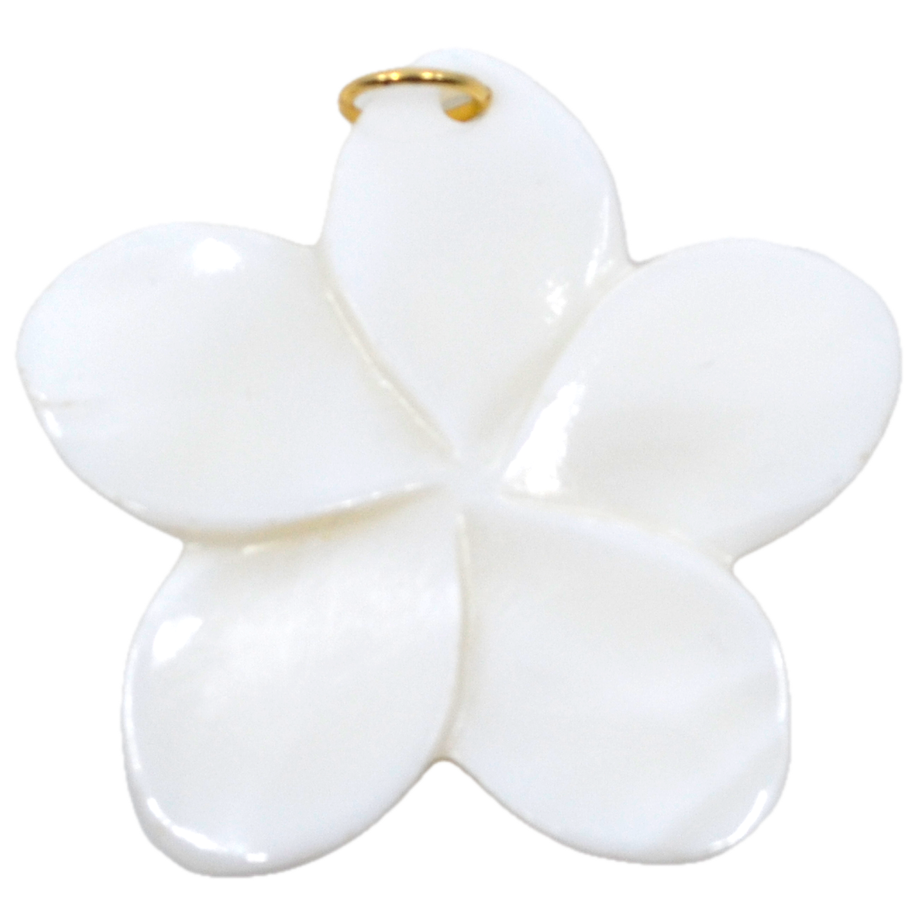 Bert Bedel Bloom Wit