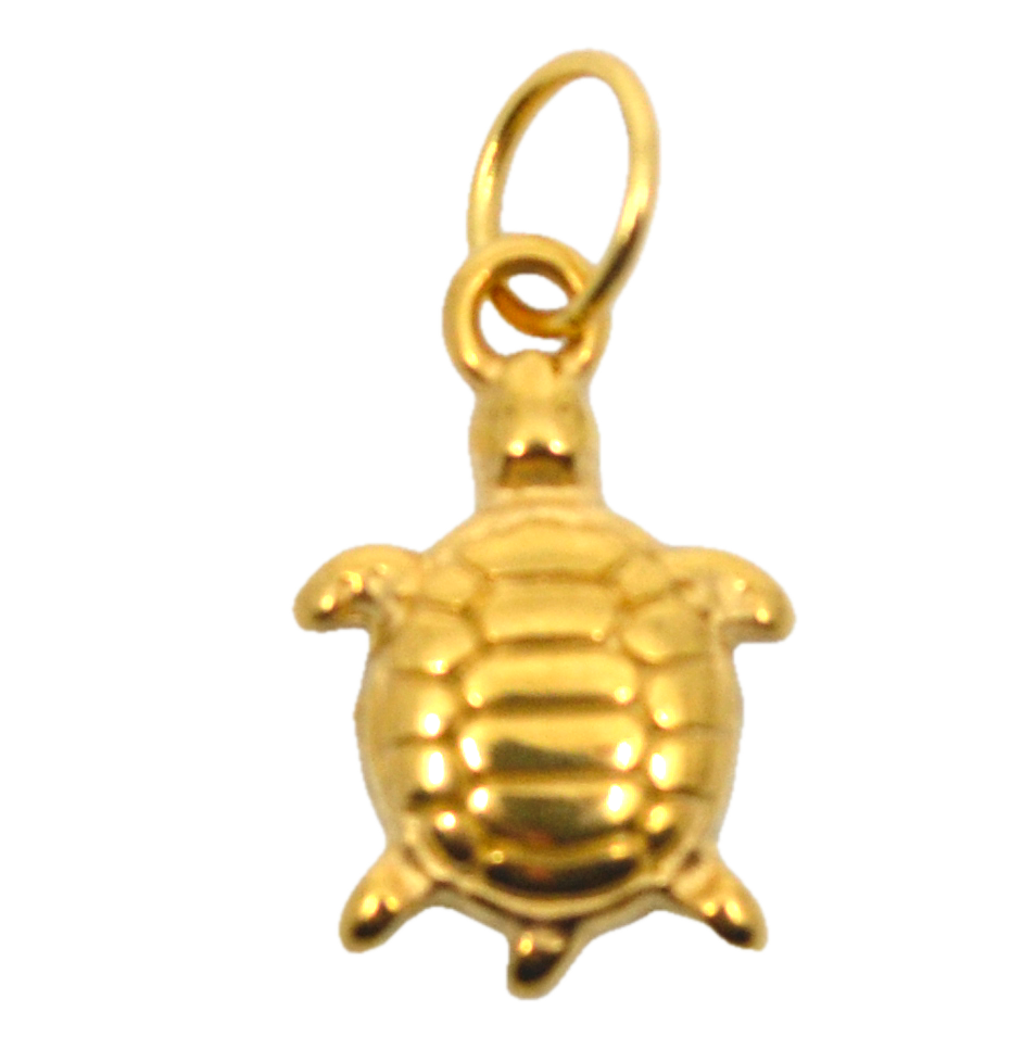 Bert Bedel Turtle Goud