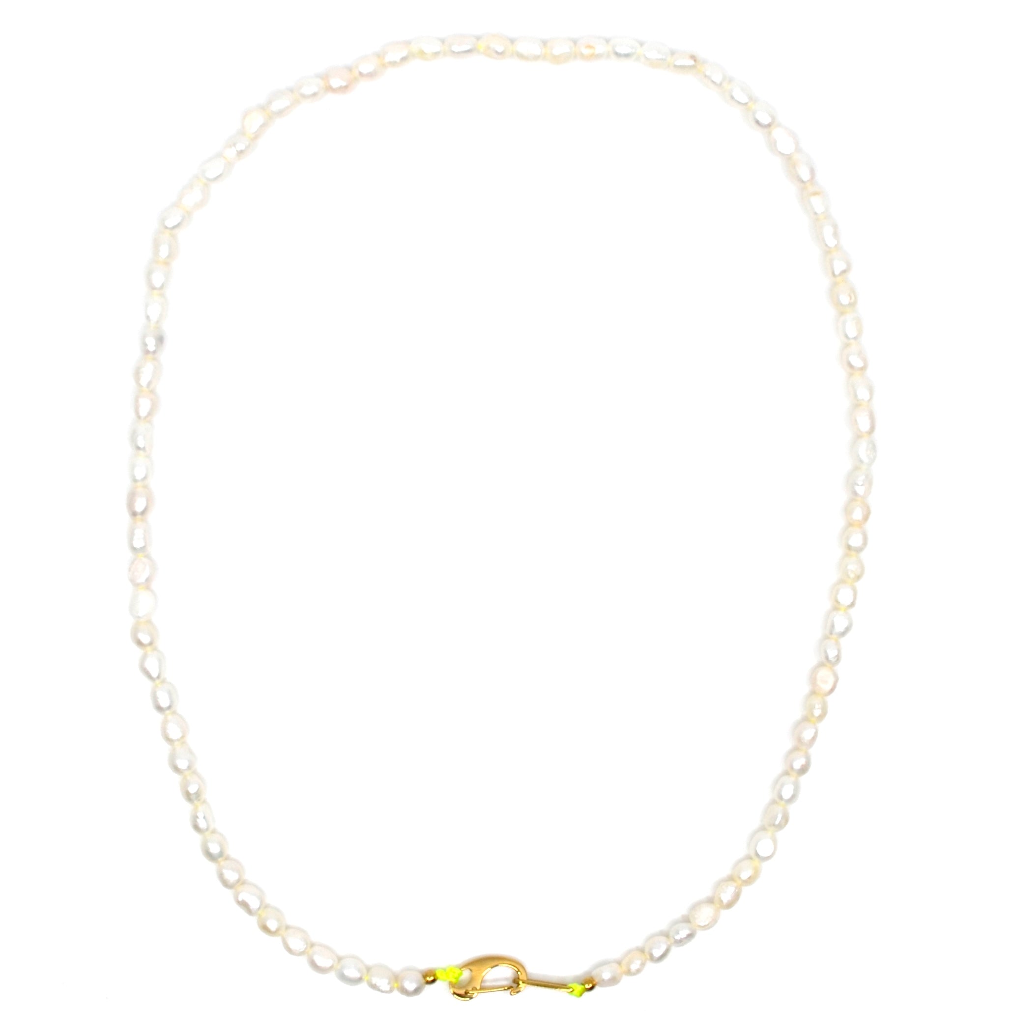 Bert Ketting Zoetwaterparel