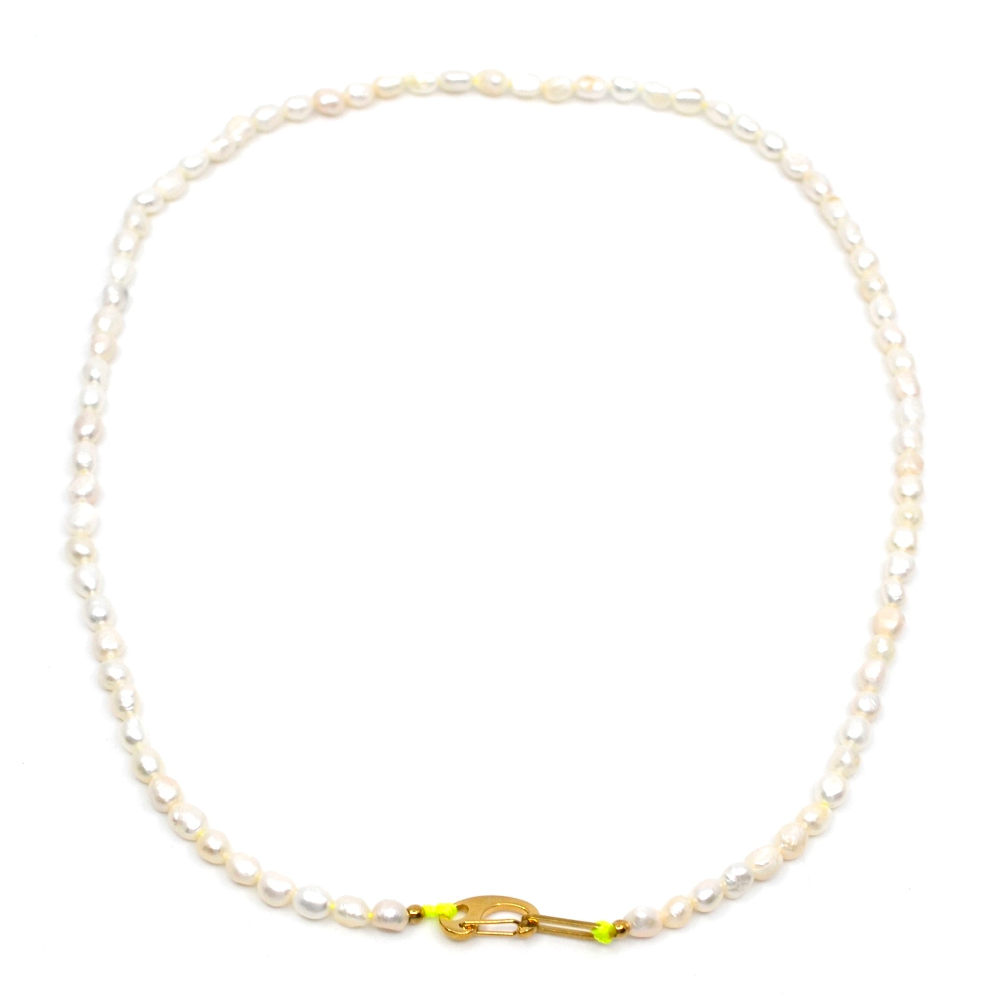 Bert Ketting Zoetwaterparel