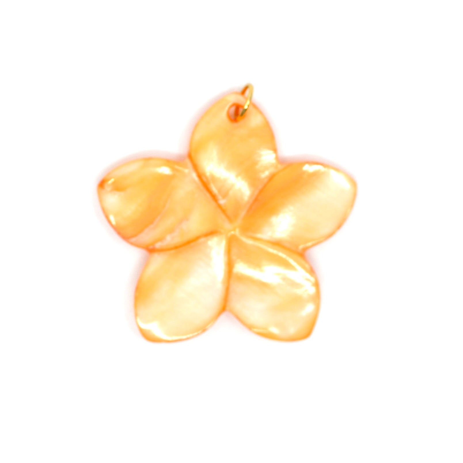 Bert Bedel Bloom Oranje