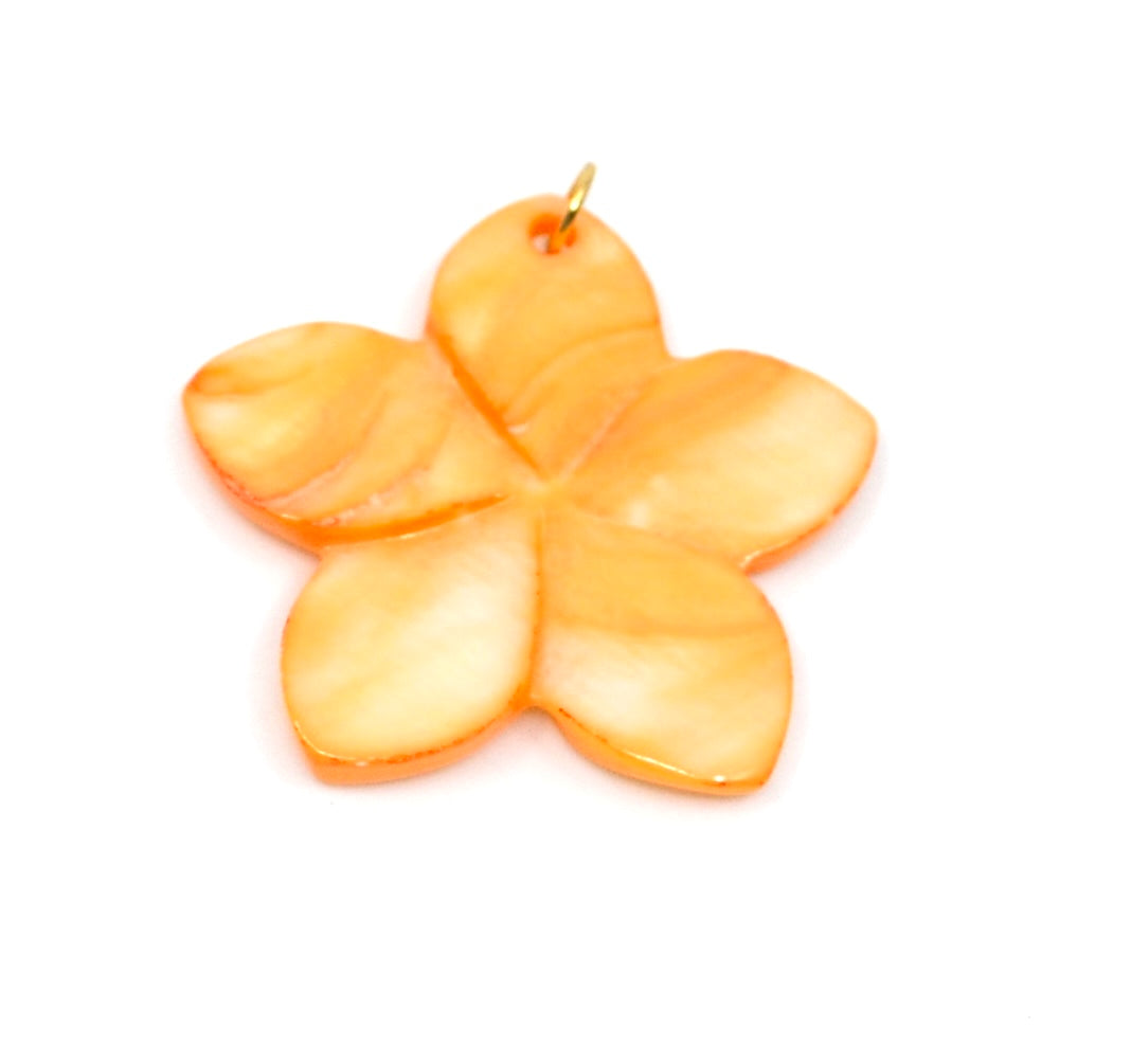 Bert Bedel Bloom Oranje