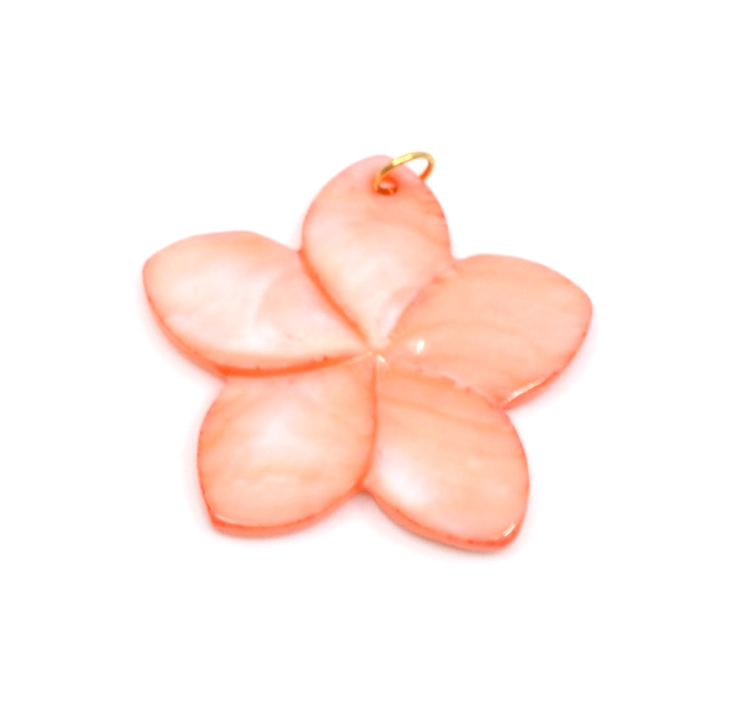 Bert Bedel Bloom Rood