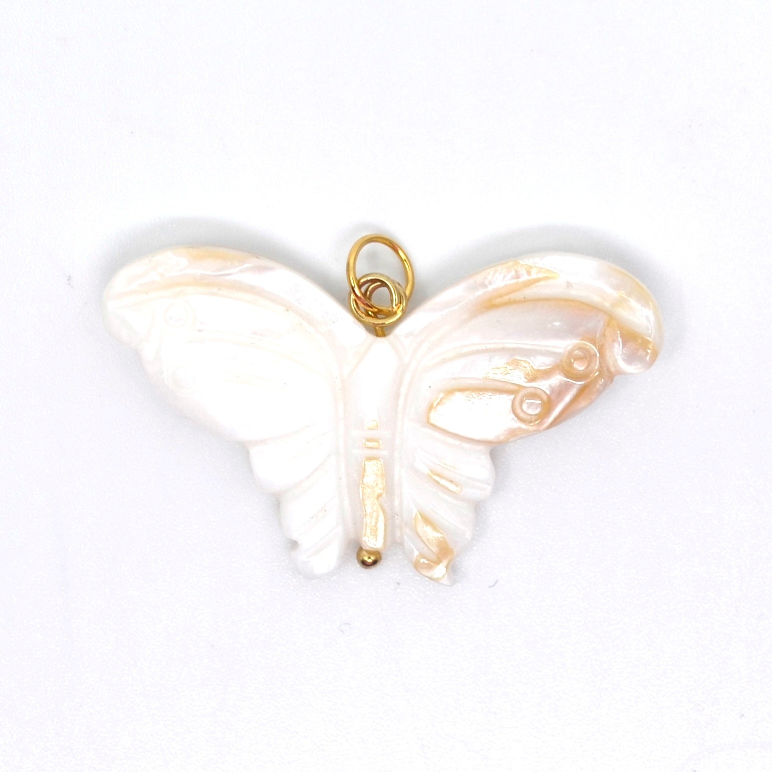 Bert Bedel Vlinder Schelp