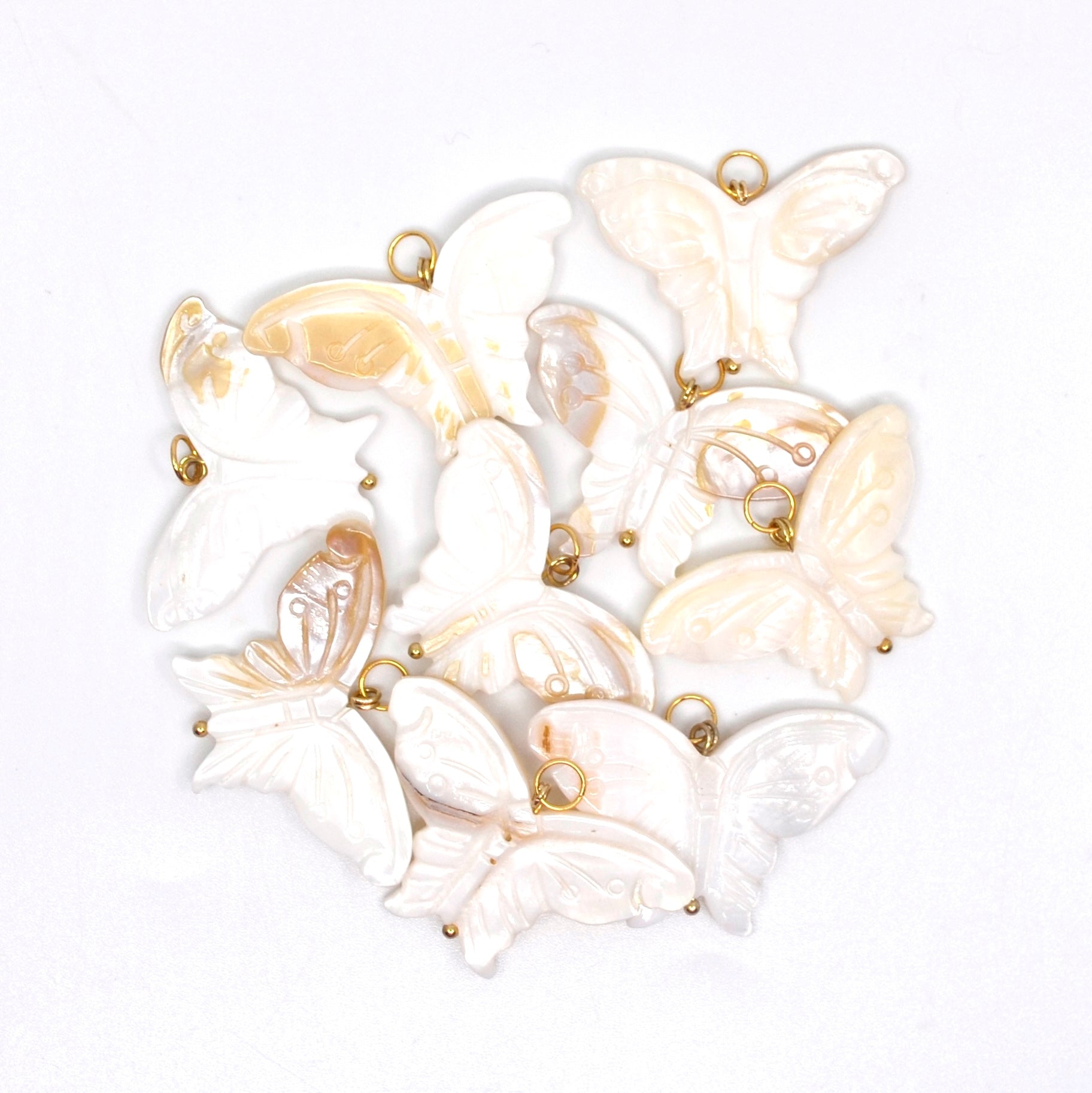 Bert Bedel Vlinder Schelp