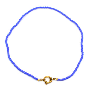 Bert Ketting Blauw/Paars