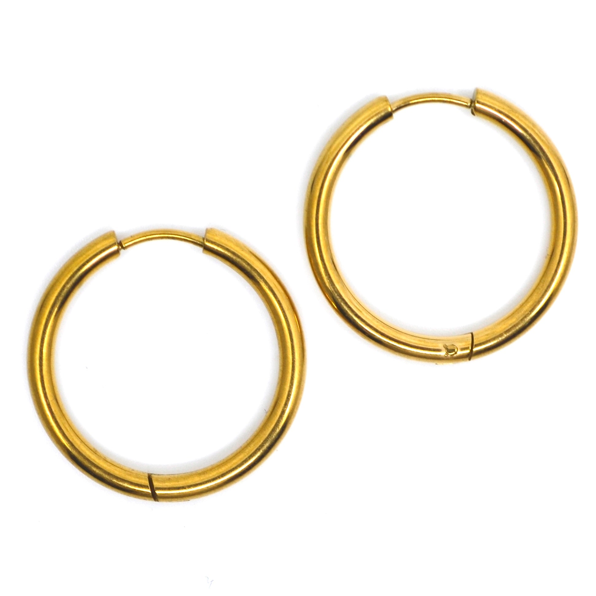 Bert Oorbellen Hoops Goud L (per paar)